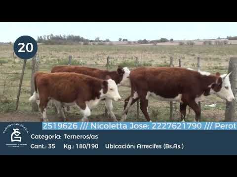 Lote M Y H- Arrecifes, Bs As