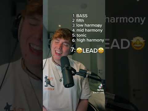 Counting Stars- One Republic (Harmony Stack Cover)