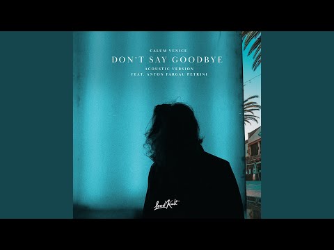 Don't Say Goodbye (Acoustic)