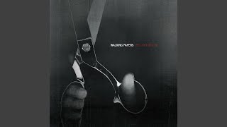 Creation Reproduction and Death