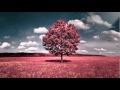 Netsky - Eyes Closed 