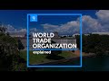 WTO Explained