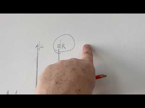 Why Do Paper Hangers Reverse Every Other Sheet of Paper? - Spencer Colgan