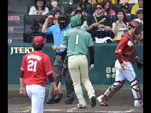 【衝撃】森下翔太がまさかの退場処分…甲子園騒然の瞬間にファン騒ぐ😱⚾#阪神タイガース #森下翔太 #阪神 #プロ野球 #甲子園 #退場処分 #野球ニュース #楽天イーグルス #スポーツニュース