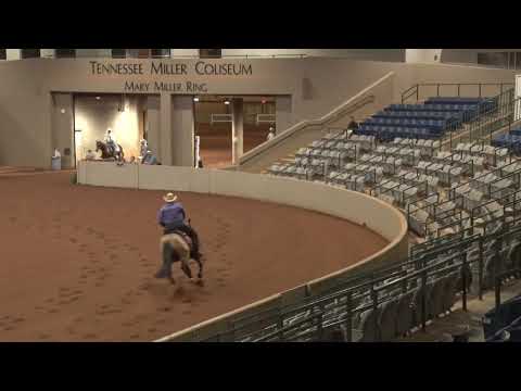 250815 Open Sam Schaffhauser on Spooktakular