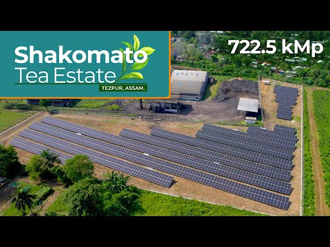 722 kWp at Shakomato Tea Estate, Tezpur, Assam by Roofsol Energy Pvt Ltd