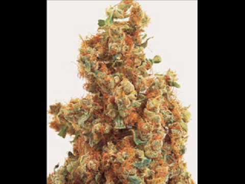 Lloyd Banks Ft. Ron Browz - Wheels Fall Off