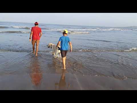 Max 4yrs old at Aksa