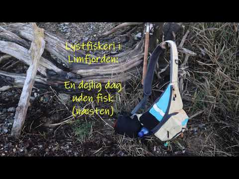 Lystfiskeri efter havørred i Limfjorden: Struer Kystfisker Forenings ørreddag, 7. november 2020