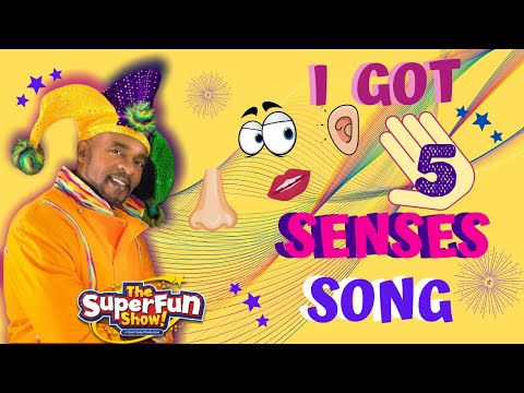 Learn The Five Senses | Kids Song & Dance