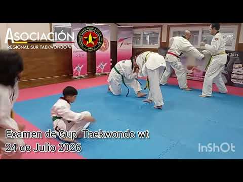 Examen de Gup Taekwondo wt. 24 Julio 2026, San Pablo Región de los Lagos.