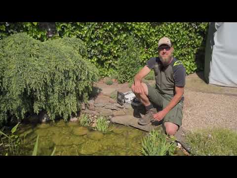 Effektive Teichpflege: Tipps und Tricks für ein klares und gesundes Gleichgewicht im Gartenteich