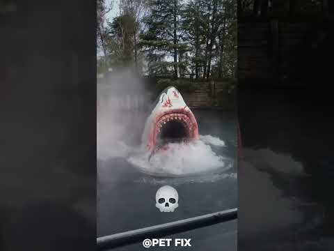 Crazy Animal Small To Giant Transformation!