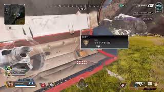 apex身内向け