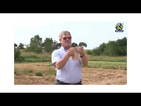 Soil Samplers