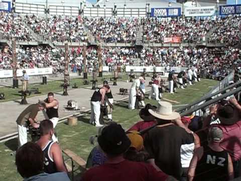 Single-Handed Sawing World Championship 2009 - Robert Dowling, Adam Lowe & Jason Wynyard