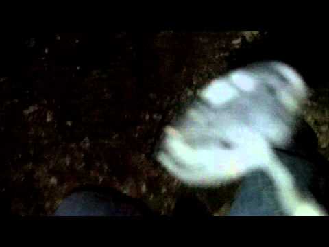 Bear Creek Swamp Video 2