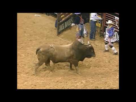 Lawman bucks Mike White - 99 PBR Richmond