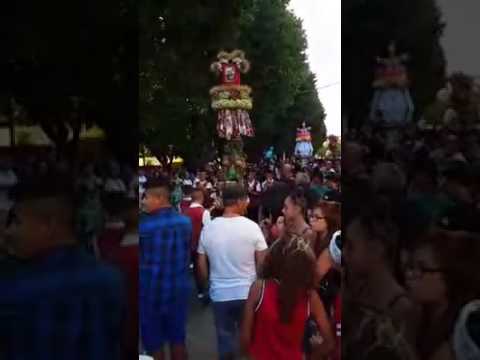 Piccolo contadini 2016