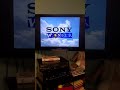 Opening To Arthur S Celebration 2001 VHS