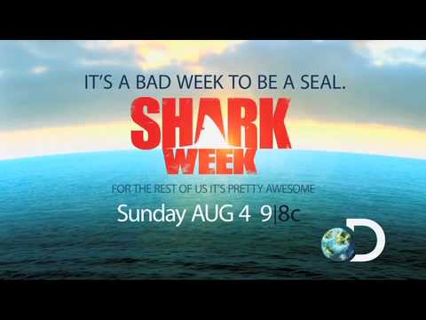 Shark Week 2013 at The Living Planet Aquarium