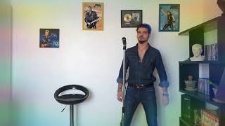 Johnny Hallyday Tu peux partir si tu le veux par JpBornrocker