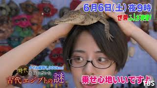 世界 ふしぎ 発見 プレゼント 応募 hp