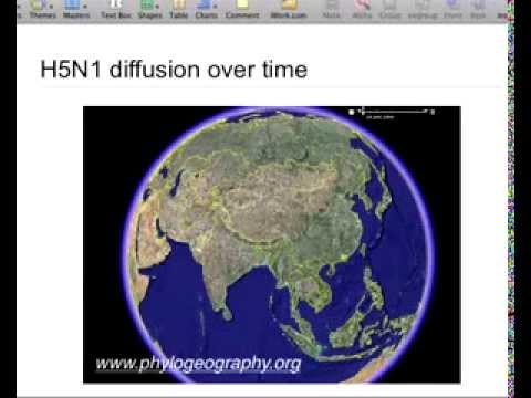 Phylogenetic diffusion models and their applications in viral epidemiology