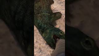 These dragons be wildin #shorts #funny #gaming