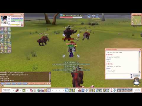 Insanity Flyff KS report