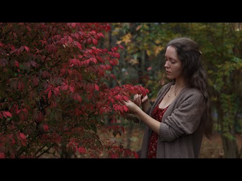 Cozy Days of Late Autumn