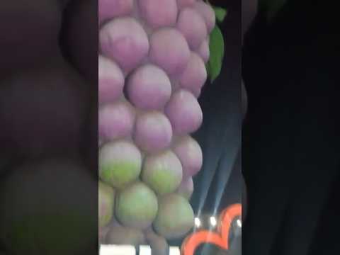 🍷🍇 Cacho de Uva 🍇🍷 🍇 Marialva Paraná.🍇🍷🍇