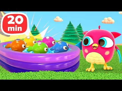 🦉🐦 HopHop die Eule & TokTok der Specht – Spielspaß & Lernen für die Kleinsten! 🎉✨