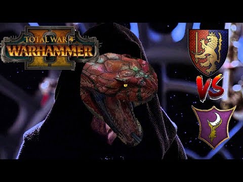 Bretonnia vs Dark Elves | HYDRA & CHILL - Total War Warhammer 2