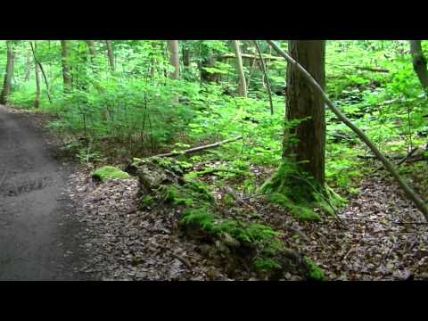 MongoTV_479 - Del 2 - Mongo TV Sommerudflugt 29.Juni 2015 - Mølleåen - Frederiksdal - Furesøen