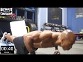 Upper Body Workout Weights