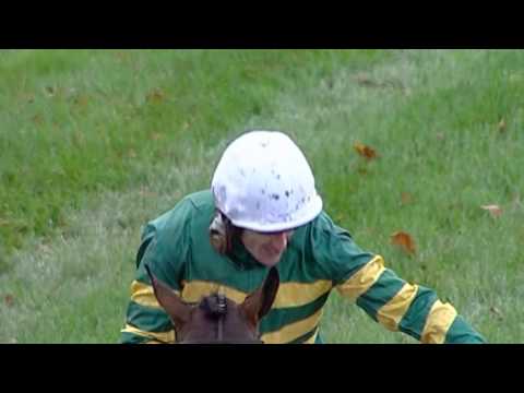 AP McCoy At The Races highlights