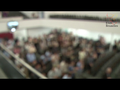 Seara de evanghelizare - Adi Mocanu