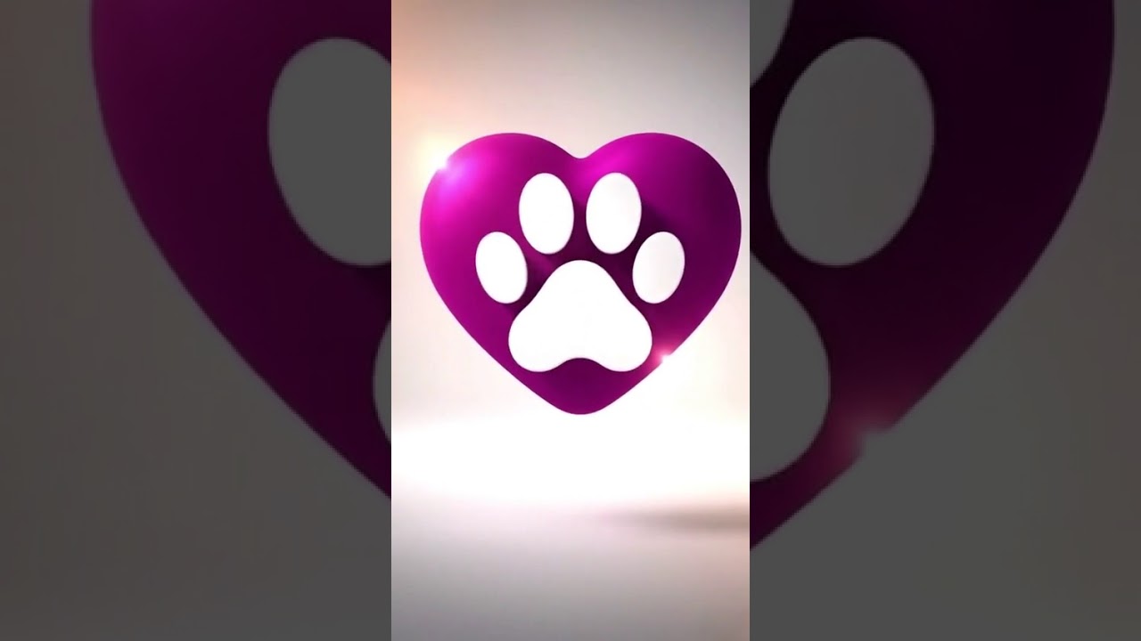 Cachorro raça SRD-ViraLata idade 2 a 6 meses nome cristal 