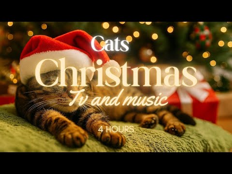 🐱 4 Hours of Cat TV & Relaxing Music | Stress & Anxiety Relief for Cats & Kittens 🐾Relaxation | HD