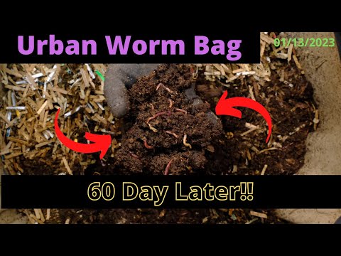 Urban Worm Bag V2 with ENCs - Over 60 Days Later 01/13/2023