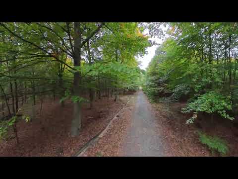 15.10.25 unterwegs am "Rodungsbereich" im Banny Bleibt bei Frankfurt