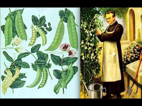 Aplicações da Biotecnologia