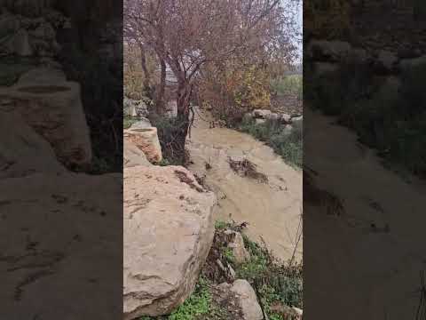 נחלי רמת הגולן זורמים סוף סוף