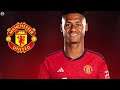 Ollie Watkins - Welcome to Manchester United? 2024 - Best Skills & Goals | HD