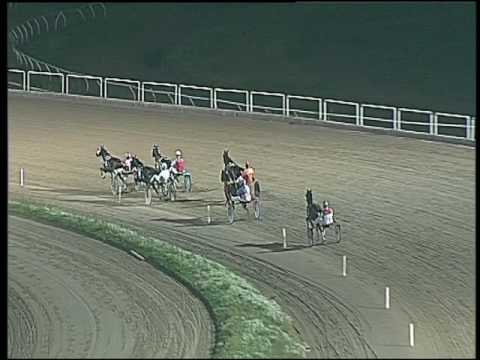 Trotto 23/10/2016 - corsa minitrotter