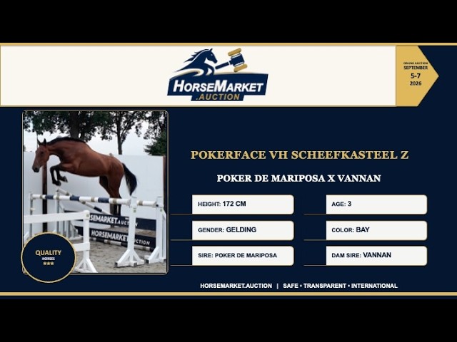 Pokerface vh Scheefkasteel Z