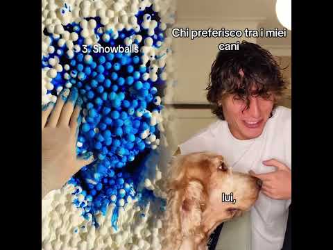 Natura, il mio preferito ha i capelli a mullet e parla spagnolo