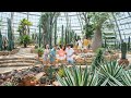VinWonders Nha Trang Công Viên Chủ đề đỉnh Cao Tại Thành Phố Biển