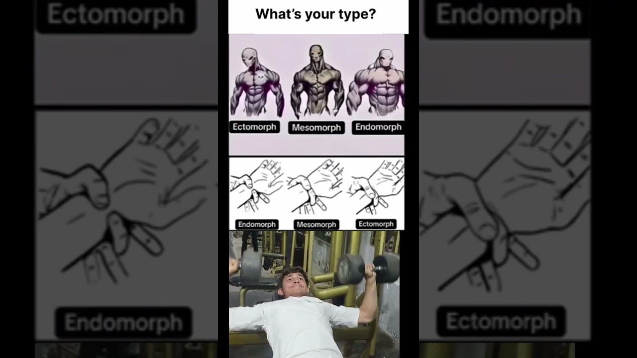 Ectomorph vs Endomorph vs Mesomorph Explained in 30 Seconds